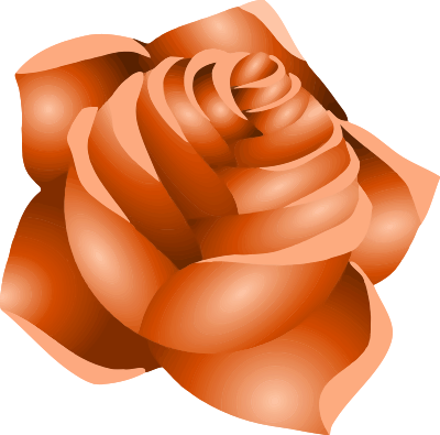Rose 22 (peach) clipart