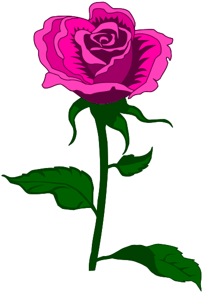 Rose 27 (colour 3) clipart