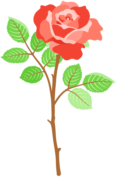 Rose 30 clipart