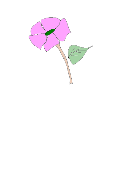 Rose clipart