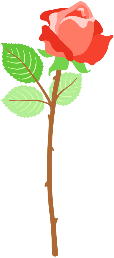Rose 31 clipart