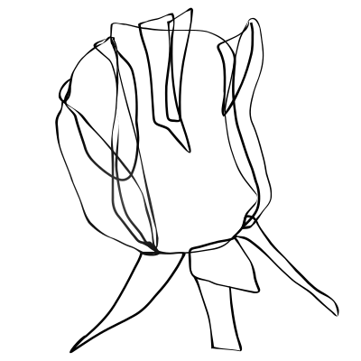 Rose clipart