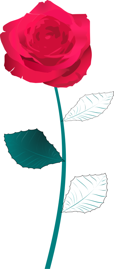 Rose clipart