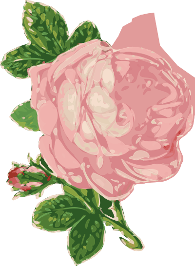 Rose 33 clipart