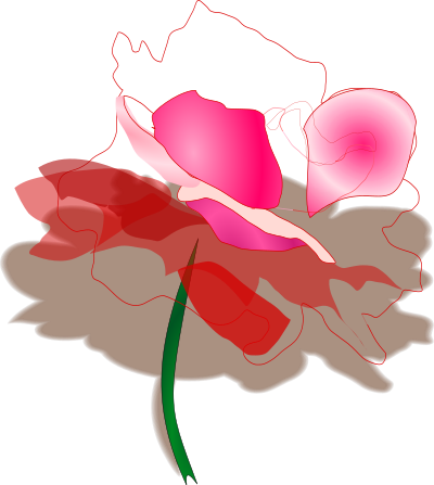 Rose clipart