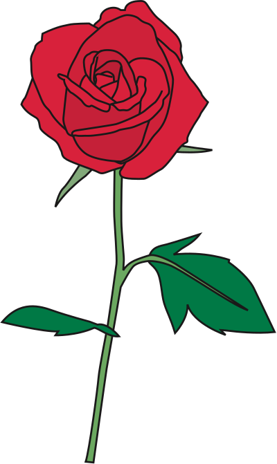 Rose (#7) clipart
