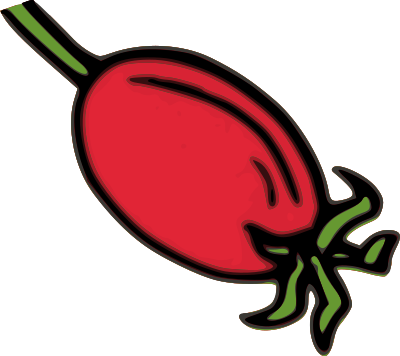 Rose Hip Fruit clipart