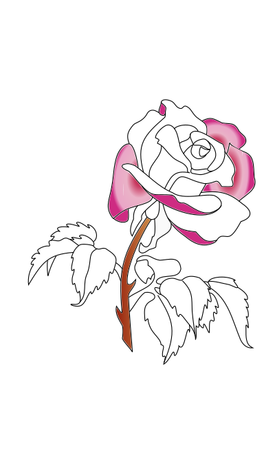 Rose in colors clipart