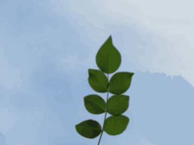 Rose leaves clipart