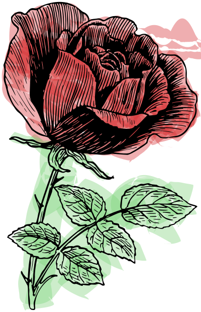 Rose Line Art - Rough Colour Remix clipart