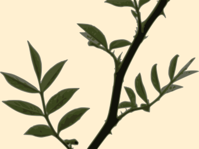 Rose silhouette 01 clipart