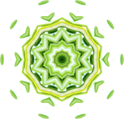Rosemary kaleidoscope 7 clipart
