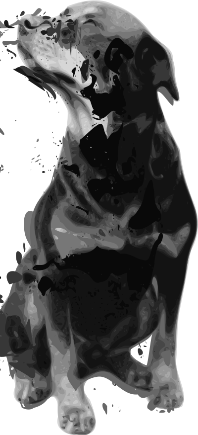 Rottweiler clipart