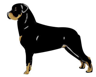 Rottweiler standing clipart