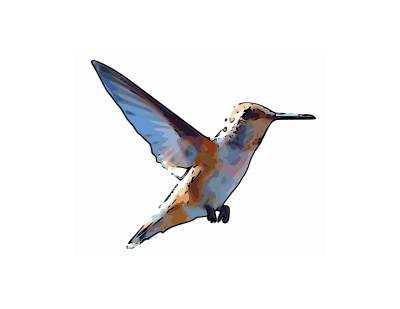 Rufous Hummingbird clipart