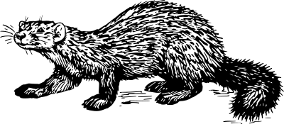 Sable clipart