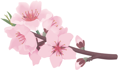 Sakura (#3) clipart