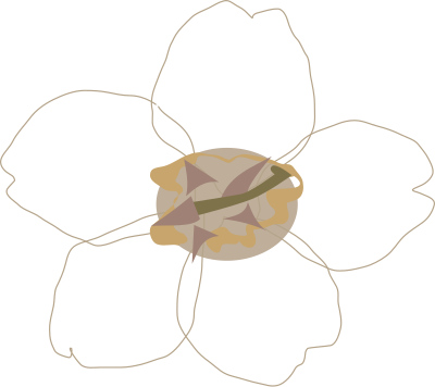 Sakura ? clipart