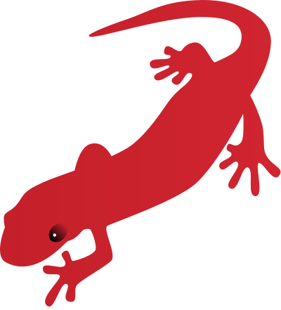 Salamander clipart