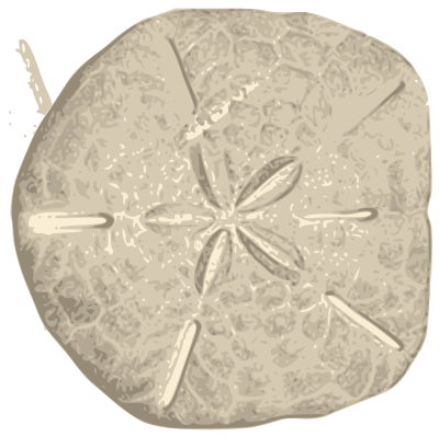 Sand Dollar clipart