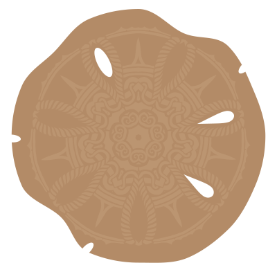Sand Dollar Skeleton clipart
