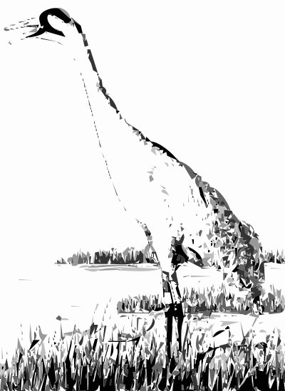 Sandhill Crane clipart