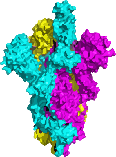 SARS-Cov 2spike protein clipart
