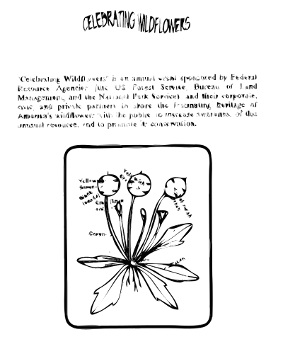 Scalepod Coloring Guide clipart