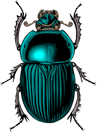 Scarabe clipart