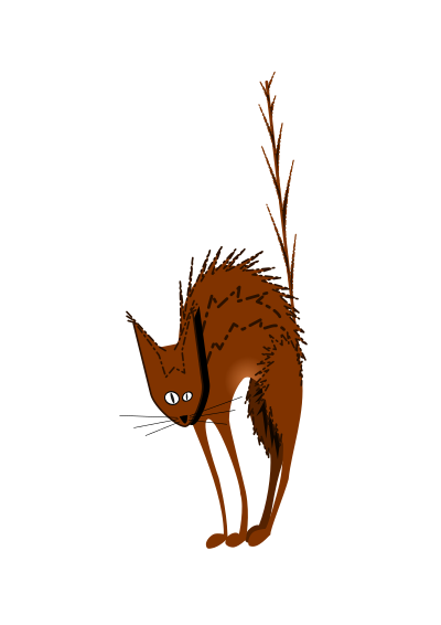 Scared cat clipart