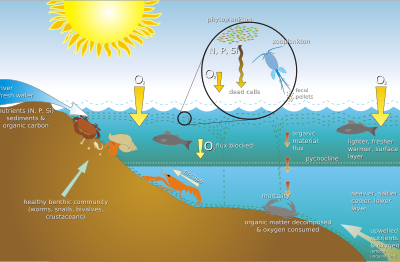 Scheme Eutrophication clipart
