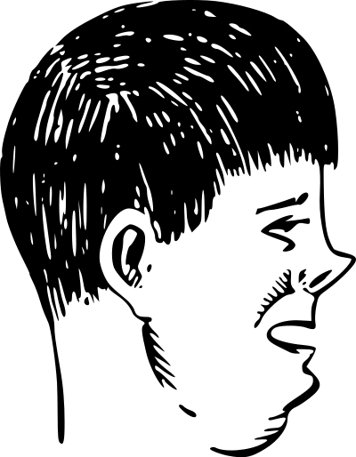 Schusterbub - Adolescent Profile clipart