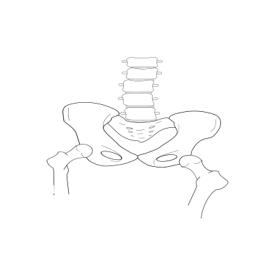 Scoliosis pelvic clipart