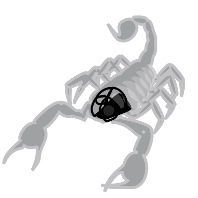 Scorpion clipart