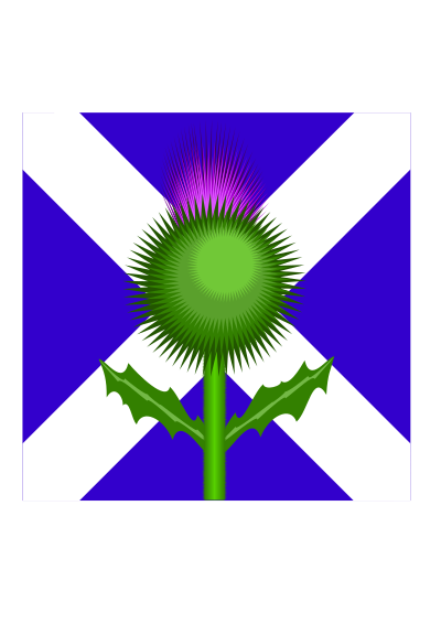 Scottish Thistle and flag clipart