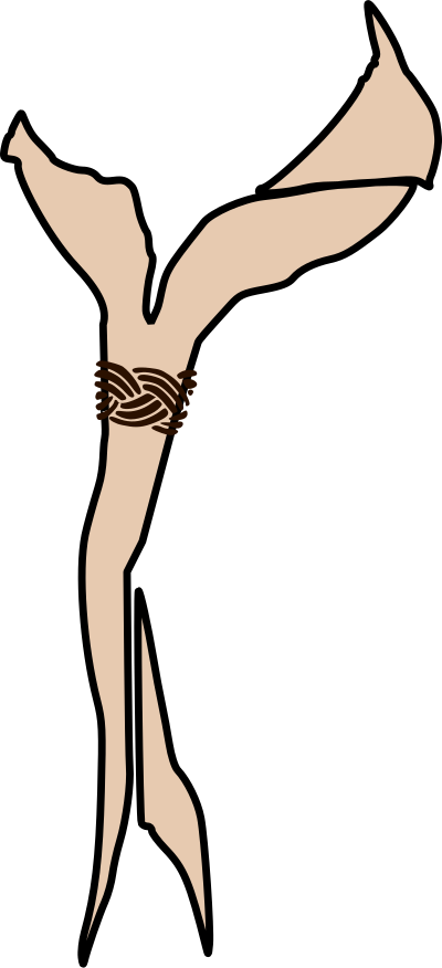 Scout scarf clipart