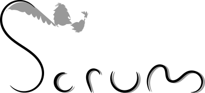 Scrum clipart