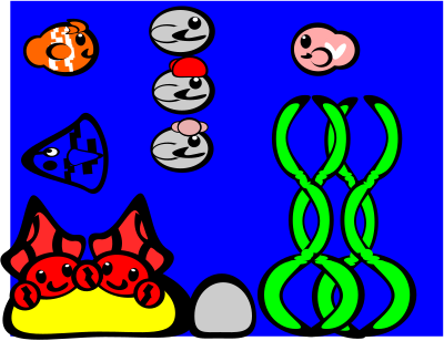 Sea clipart