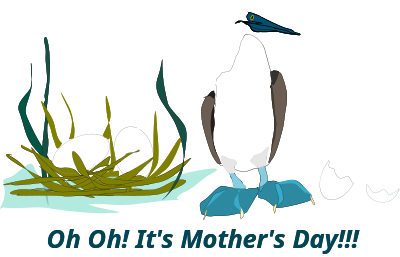 Sea Bird clipart