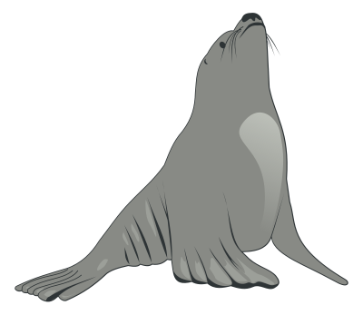 Sea Lion clipart