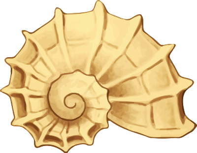 Sea shell 42 clipart