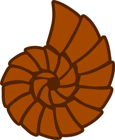 Sea shell 46 clipart