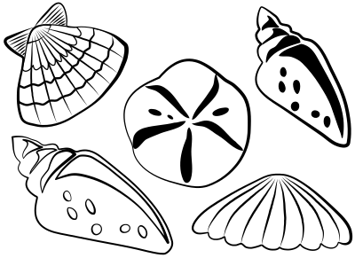 Sea shells clipart