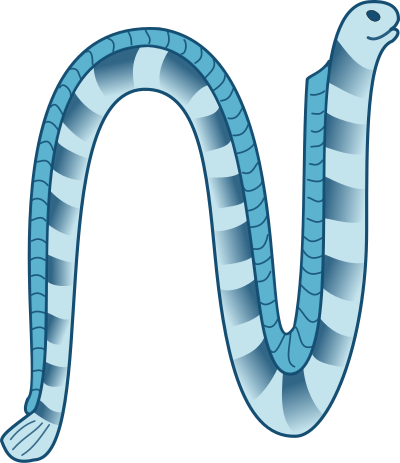 Sea snake clipart
