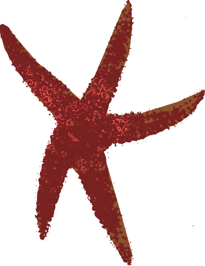 Sea Star clipart