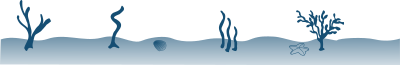 Seabed clipart
