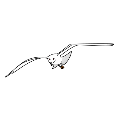 Seagull clipart