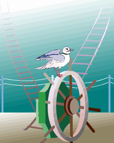 Seagull 2 clipart