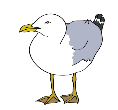 Seagull clipart