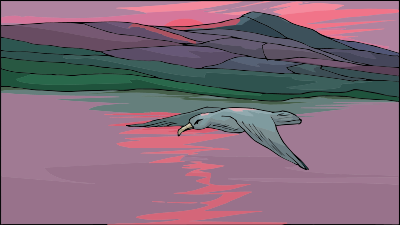 Seagull 3 clipart